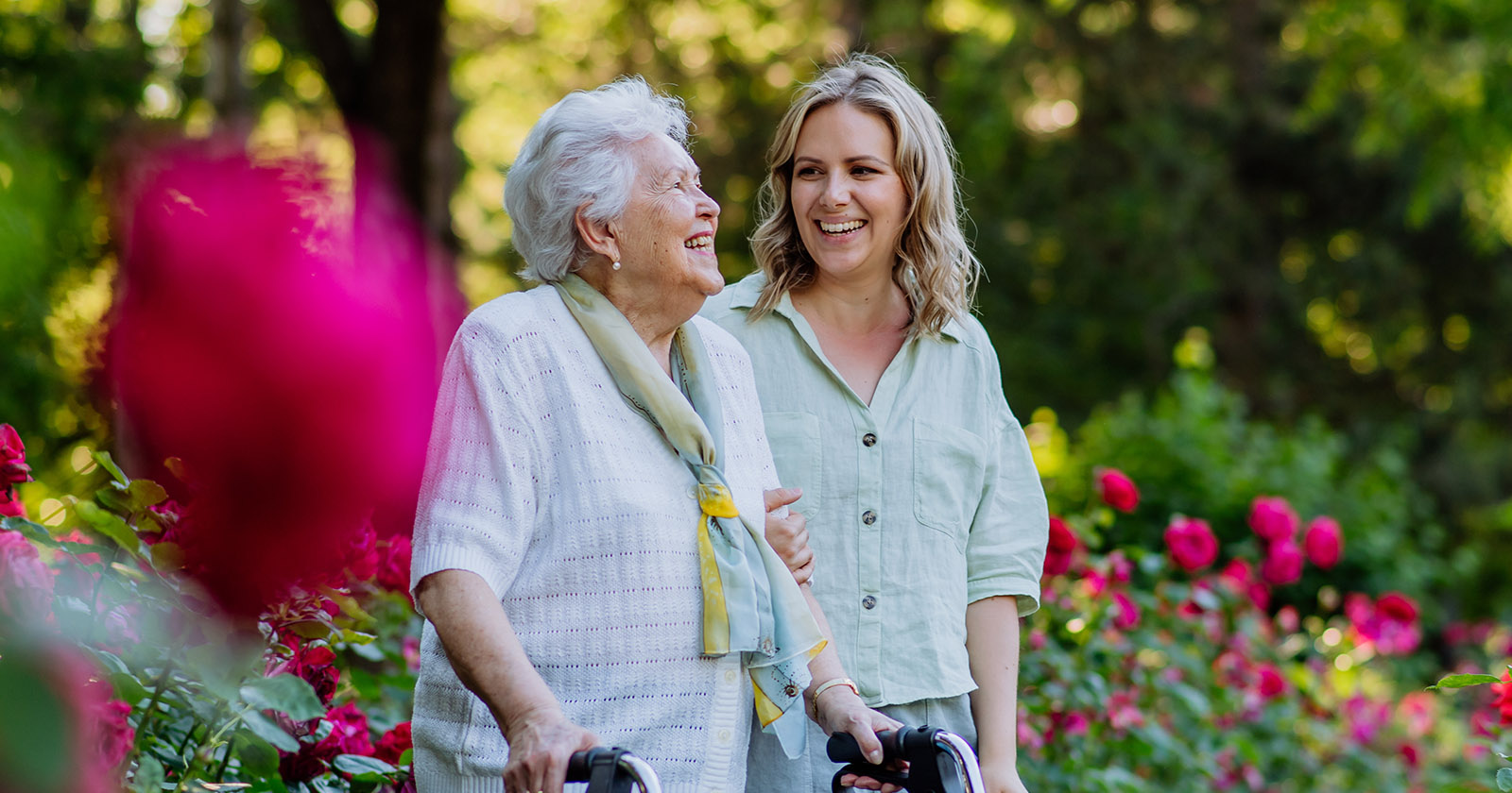 Where to Find Senior Preferences | Distribution Locations